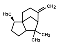 β-Cedreno