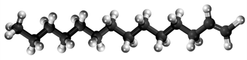 Dosiero:1-Tetradecene3D.png