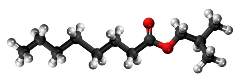 Dosiero:Isobutyl octanoate3D.png