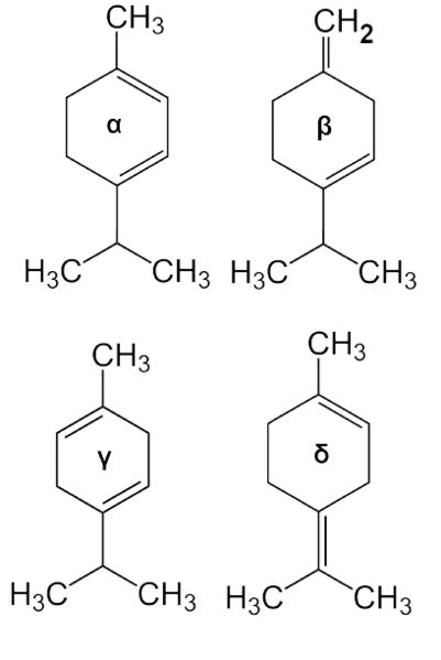 Dosiero:Terpinenes 2D.png
