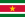 Flago-de-Surinamo.svg