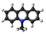 10-Metilakridino