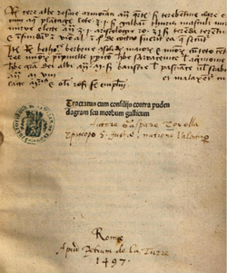 Aŭtoro de la verko "Tractatus cum consiliis contra pudendagram seu morbum gallicum", verko publikigita en 1497.