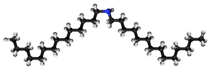 Dosiero:Ditetradecylamine 3D.png