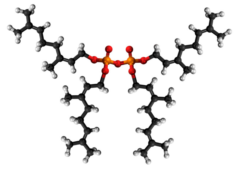 Dosiero:Neryl pyrophosphate 3D.png