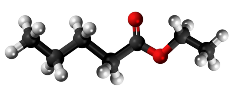 Dosiero:Ethyl valerate 3D.png