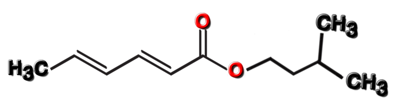 Dosiero:Isoamyl sorbate 2D.png