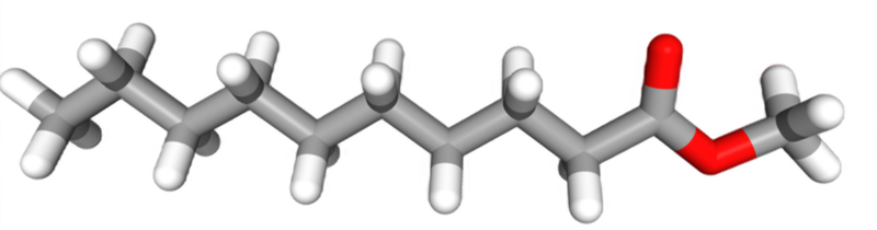 Dosiero:Methyl decanoate sticks.png