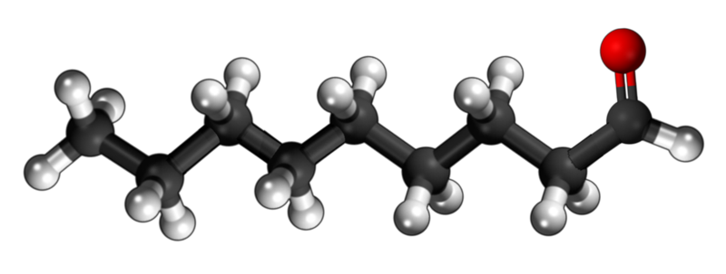 Dosiero:Nonyl aldehyde 3D.png