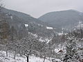 Rinnthal Schnee.jpg