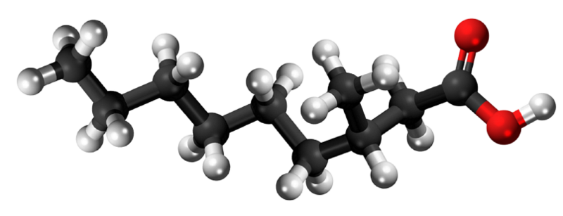 Dosiero:3-Methyl-nonanoic acid 3D.png