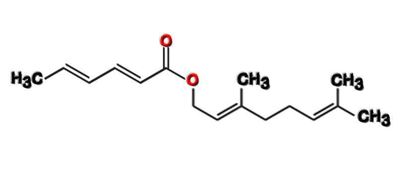 Dosiero:Geranyl sorbate2D.png