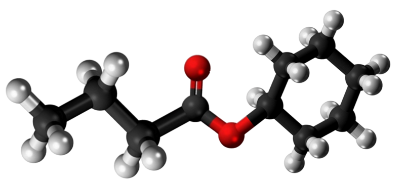 Dosiero:Cyclohexyl butyrate 3D.png