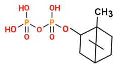 bornila pirofosfato