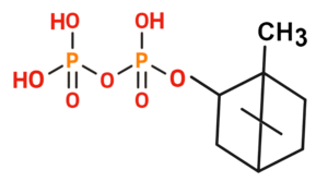 Bornila pirofosfato