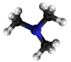 trimetilamino