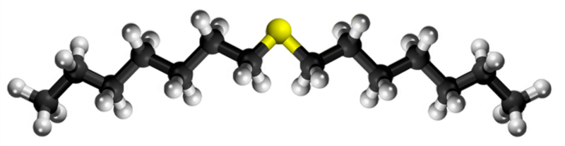 Dosiero:Heptyl sulfide3D.png