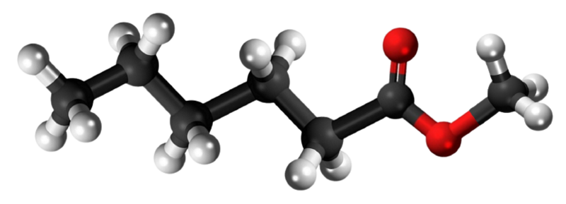 Dosiero:Methyl hexanoate 3D.png