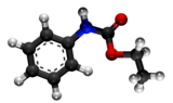etila fenilkarbamato