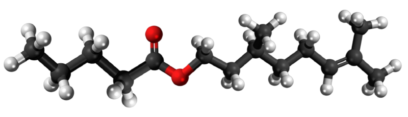 Dosiero:Citronellyl valerate3D.png