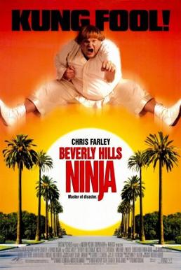 پرونده:Beverly Hills Ninja poster.jpg