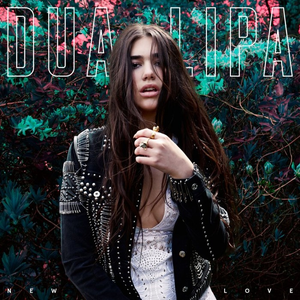 پرونده:Dua Lipa - New Love.png