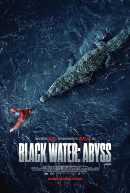 پرونده:Blackwaterabyss2020poster.jpg