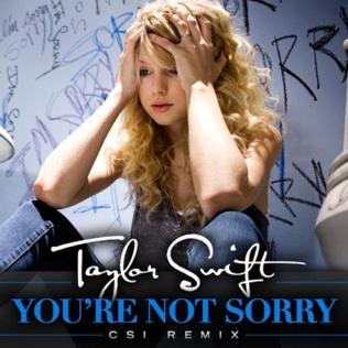 پرونده:Capa de You're Not Sorry.jpg