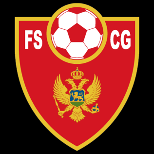 پرونده:Football Association of Montenegro.png