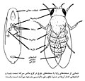 تصویر بندانگشتی از نسخهٔ مورخ ‏۱۶ مارس ۲۰۲۱، ساعت ۰۱:۴۰