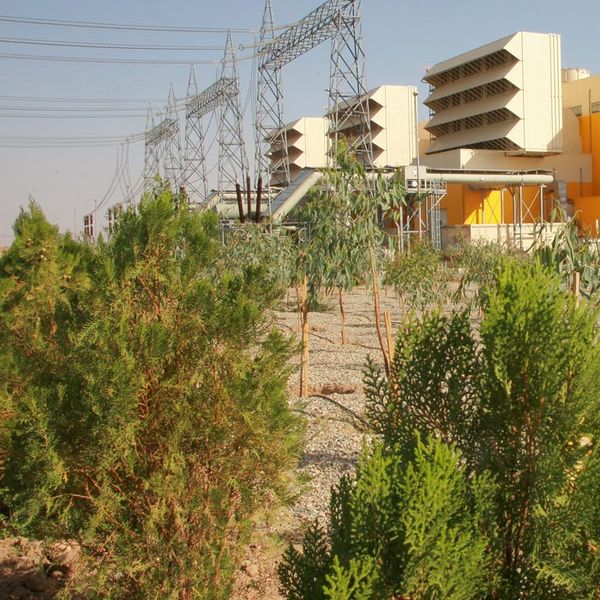 پرونده:RudeshurGreenSpace.JPG