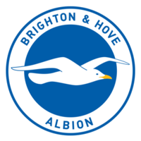 Brighton & Hove Albion logo.png
