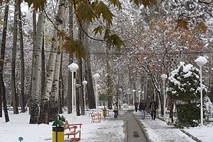 مشهد وکیل‌آباد: یکی از بلوارهای شهر مشهد، ایران