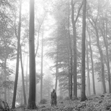 A greyscale picture of Taylor Swift standing in a forest, looking at the height of the trees.