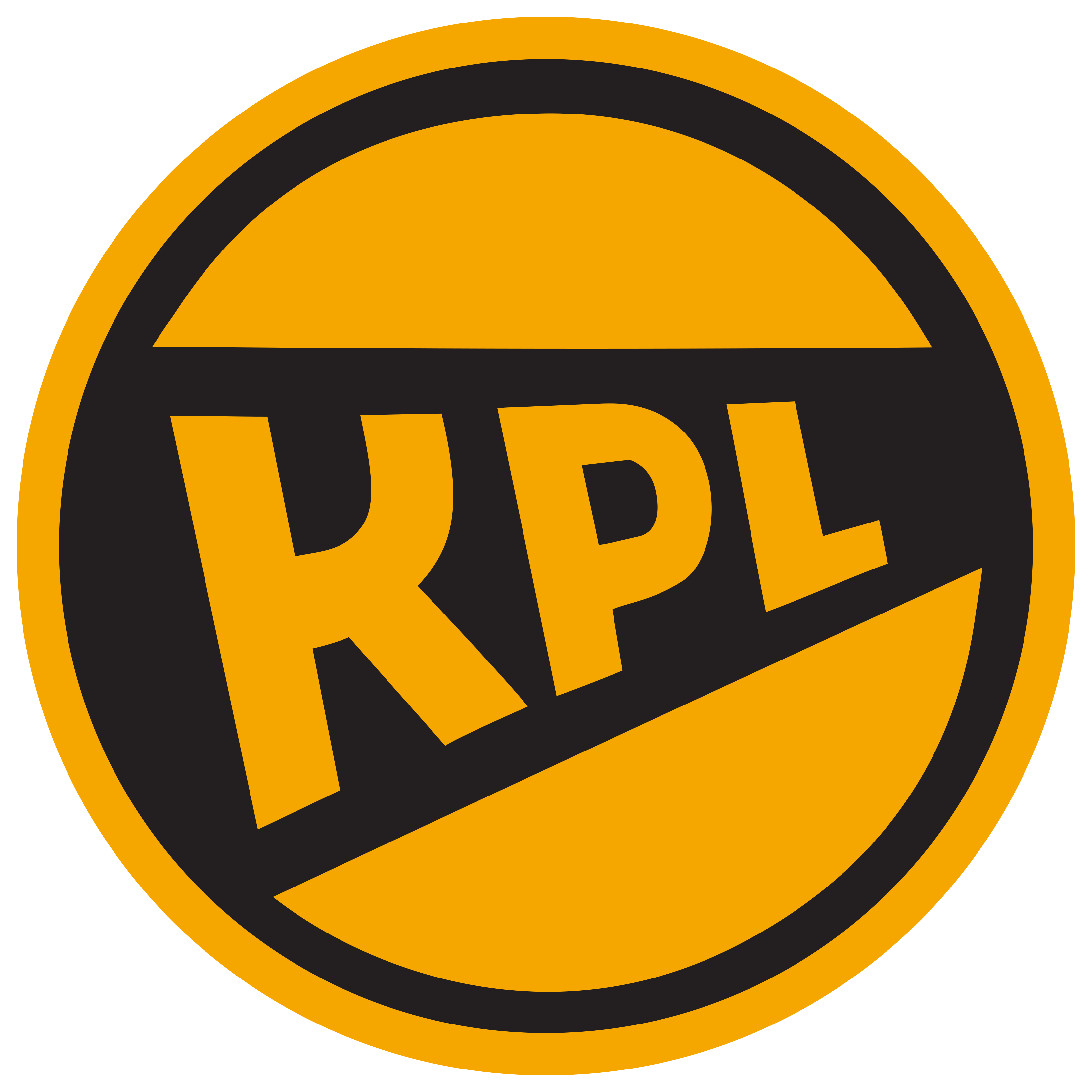 Karachi Premier League Logo
