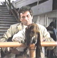 Tiedosto:Columbo's dog.jpg