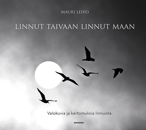 Tiedosto:Linnut taivaan.jpg