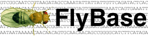 Tiedosto:Flybase logo.png