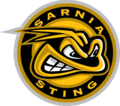 Pienoiskuva sivulle Sarnia Sting