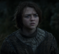 Pienoiskuva sivulle Arya Stark