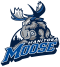 Pienoiskuva sivulle Manitoba Moose