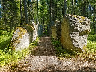 Jäljet, 1994, Viitasaari