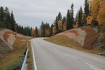 Tieleikkaus nähtynä etelän suuntaan. Metlan Pallasjärven tukikohdan tie erkanee kuvassa vasemmalle. Kuvan etualalla on Pyhäjoen ylittävän maantiesillan kaiteita.