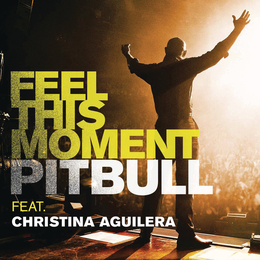 Singlen ”Feel This Moment” kansikuva