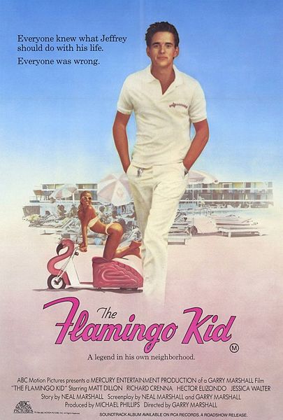 Tiedosto:The-flamingo-kid-movie-poster.jpg