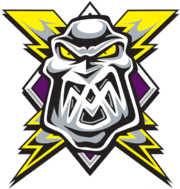 Manchester Storm.png