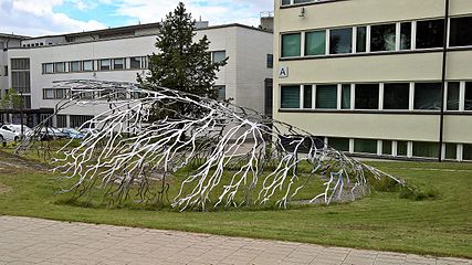 Mycelium, 2015 on Terveyden ja hyvinvoinnin laitoksessa Helsingissä.