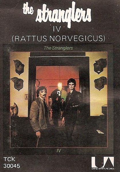 Tiedosto:Rattus Norvegicus The Stranglers.jpg