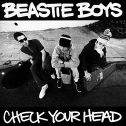 Studioalbumin Check Your Head kansikuva