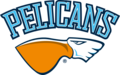 Pelicansin logo 2016–.
